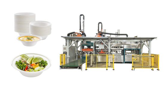 Pulp Molding Einweg-Abendessen-Verpackungsmaschine