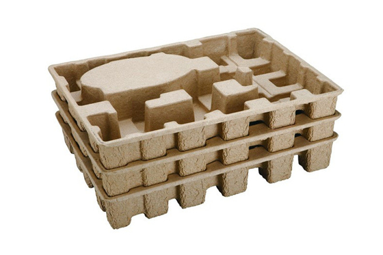 Doppelter Behälter-stützbare Formungsmaschine, zum der Industrie-Verpackung zu produzieren