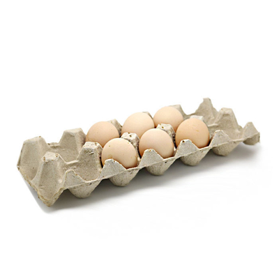 Freundliche geformte Papiermaschine Eco für die Herstellung der Eierkarton-Frucht Tray Coffee Cup Tray