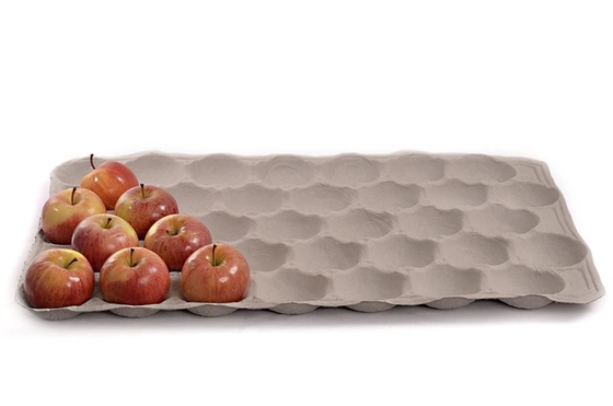 Freundliche geformte Papiermaschine Eco für die Herstellung der Eierkarton-Frucht Tray Coffee Cup Tray