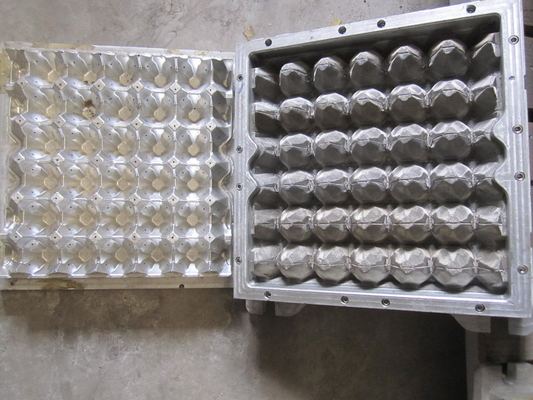 Massen-verziertes Ei Tray Mould des Papier-3D 30 Löcher 5 Jahre Lebenszeit-