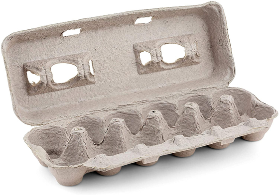 Massen-Faser-Maschine der Verschmutzungs-1000pcs/hr freie, zum des Ei-Kastens zu produzieren