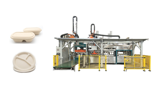 Biologisch abbaubares Mittagessen Tray Pulp Molded Production Machine