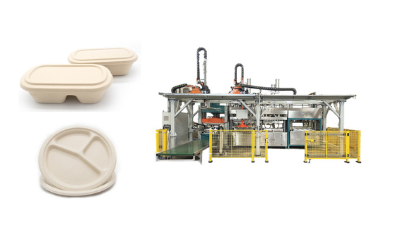 Vollautomatische Holzschliff-Nahrung, die Tray Production Line dient