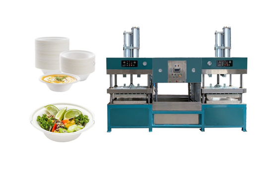 Pulp Molding Einweg-Clamshell-Box-Herstellungsmaschine