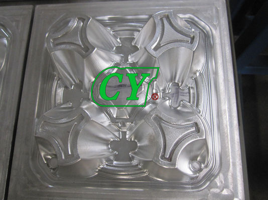 Plastikpapiermassen-Form Diogradable bereiten Kaffee Tray Mould auf