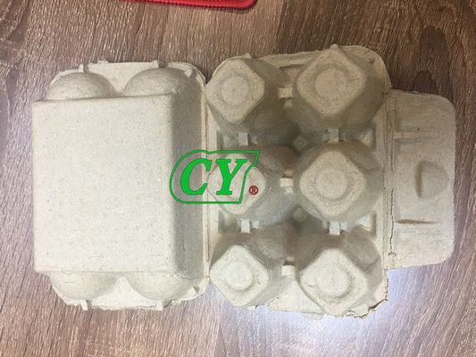 Biologisch abbaubare Zell1-jährige Garantie der Recyclingpapier-Massen-Form-4 der Zellen6