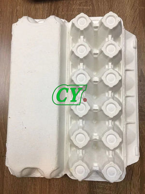 Biologisch abbaubares geformtes Papiermassen-Produkt-Massen-Ei Tray Recycle Egg Box